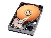 Device Type - Hard drive - internal , Width - 10.2 cm , Depth - 14.7 cm , Height - 2.6 cm , Weight - 0.6 kg , Compatibility - PC , Form Factor - 3.5" x 1/3H , Capacity - 80 GB , Interface Type - ATA-100 , Connector - 40 PIN IDC , Buffer Size - 8 MB , Features - Data Lifeguard , Drive Transfer Rate - 100 MBps (external) / 75.3 MBps (internal) , Seek Time - 8.9 ms (average) / 21 ms (max) , Track-to-Track Seek Time - 2 ms , Average Latency - 4.2 ms , Spindle Speed - 7200 rpm , Sectors per Track - 63 , Bytes per Sector - 512 , Seek Errors - 1 per 10^14 , Start / Stop Cycles - 50,000 , Connections - 1 x storage - ATA-100 - 40 PIN IDC , Compatible Bays - 1 x internal - 3.5" x 1/3H , Package Type - OEM , Service &amp; Support - 3 years warranty , Service &amp; Support Details - Limited warranty - 3 years , Min Operating Temperature - 5 &deg;C , Max Operating Temperature - 55 &deg;C , Humidity Range Operating - 5 - 85% , Shock Tolerance - 20 g @ 2ms half-sine pulse (operating) / 200 g @ 2ms half-sine pulse (non-operating) , Vibration Tolerance - 0.75 g @ 20-300 Hz (operating) / 4 g @ 20-500 Hz (non-operating) , Sound Emission - 35 dBA ,
