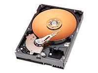 Device Type - Hard drive - internal , Width - 10.2 cm , Depth - 14.7 cm , Height - 2.6 cm , Weight - 0.6 kg , Compatibility - PC, Mac , Form Factor - 3.5" x 1/3H , Capacity - 160 GB , Interface Type - ATA-100 , Connector - 40 PIN IDC , Buffer Size - 8 MB , Features - Data Lifeguard, Shock Guard , Compliant Standards - S.M.A.R.T. , Drive Transfer Rate - 100 MBps (external) , Seek Time - 8.9 ms (average) / 21 ms (max) , Track-to-Track Seek Time - 2 ms , Average Latency - 4.2 ms , Spindle Speed - 7200 rpm , Non-Recoverable Errors - 1 per 10^14 , Start / Stop Cycles - 50,000 , Interfaces - 1 x ATA-100 - 40 PIN IDC , Compatible Bays - 1 x internal - 3.5" x 1/3H , Service &amp; Support - 3 years warranty ,
