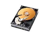 Device Type - Hard drive - internal , Width - 10.2 cm , Depth - 14.7 cm , Height - 2.6 cm , Weight - 0.6 kg , Compatibility - PC , Form Factor - 3.5" x 1/3H , Capacity - 250 GB , Interface Type - ATA-100 , Connector - 40 PIN IDC , Buffer Size - 8 MB , Features - Data Lifeguard, Shock Guard , Compliant Standards - S.M.A.R.T. , Drive Transfer Rate - 100 MBps (external) / 93.5 MBps (internal) , Seek Time - 8.9 ms (average) / 21 ms (max) , Track-to-Track Seek Time - 2 ms , Average Latency - 4.2 ms , Spindle Speed - 7200 rpm , Non-Recoverable Errors - 1 per 10^14 , Start / Stop Cycles - 50,000 , Interfaces - 1 x IDE/ATAPI - 40 PIN IDC , Compatible Bays - 1 x internal - 3.5" x 1/3H , Software Included - Drivers &amp; Utilities , Service &amp; Support - 3 years warranty , Service &amp; Support Details - Limited warranty - 3 years , Min Operating Temperature - 5 &deg;C , Max Operating Temperature - 55 &deg;C , Humidity Range Operating - 5 - 95% , Shock Tolerance - 65 g @ 2ms half-sine pulse (operating) / 250 g @ 2ms half-sine pulse (non-operating) , Vibration Tolerance - 0.75 g @ 20-300 Hz (operating) / 4 g @ 20-500 Hz (non-operating) ,