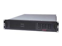 APC SmartUPS 2200VA USB & Serial  UPS ( rackmountable )  2200 VA  UPS battery lead acid   9 output connector(s)