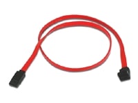 Belkin from Novatech.co.uk - Buy discount Belkin - Save on cheap Belkin - Computer Supplies Online