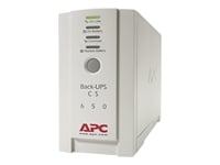 Device Type - UPS , Form Factor - External , Battery Enclosure Type - Plug-in module , Width - 9 cm , Depth - 28 cm , Height - 17 cm , Weight - 6 kg , Enclosure Colour - Beige , Load Rating - Individual PC , UPS Technology - Off-line , Supported Battery Technology - Lead Acid , Input Voltage - AC 230 V , Input Voltage Range - AC 196 - 280 V , Input Voltage Range (Adjustable) - AC 160 - 300 V , Frequency Required - 50/60 Hz , Input Connector(s) - 1 x power IEC 320 EN 60320 C14 , Output Voltage - AC 230 V , Output Connector(s) - 4 x power IEC 320 EN 60320 C13 , Power Output Connectors Details - 1 x power IEC 320 EN 60320 C13 ( surge )   3 x power IEC 320 EN 60320 C13 ( UPS and surge ) , Power Provided - 400 Watt / 650 VA , Output Waveform - Stepped approximation to a sinewave , Surge Suppression - Standard , Circuit Protection - Circuit breaker , Technology - Lead Acid , Voltage Provided - AC 230 V , Run Time (Up To) - 2.4 min at full load , Interfaces - 1 x management - USB   1 x management - RS-232 - 9 pin D-Sub (DB-9) , Cables Included - 1 x USB cable   1 x power cable , Features - Audible alarm , Compliant Standards - CE, C-Tick, GOST, NEMKO, PCBC , Service &amp; Support - 2 years warranty , Service &amp; Support Details - Limited warranty - parts and labour - 2 years   Limited warranty - replacement - 2 years , Min Operating Temperature - 0 &deg;C , Max Operating Temperature - 40 &deg;C ,