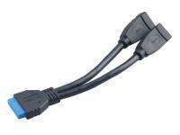 Akasa Motherboard 2x USB3 Female Adapter 15cm
