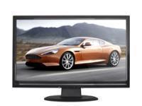 24" Widescreen LCD Monitor