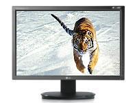 LG L204WT 20" LCD TFT, 5ms, 2000:1 Contrast Ratio, DVI, 1680 x 1050 Resolution