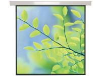 Sahara Square Format Electric Screen 2400 x 2400mm Square format electric wall screen 1340083