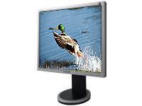Novatech Direct Ltd. computer parts and Flat Panel Monitors