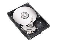 Seagate ST3250620A from Novatech