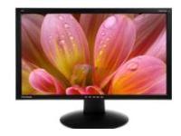 Viewsonic VA2413wm 24" Widescreen LCD
