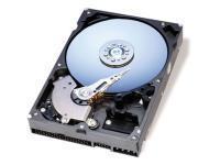 Western Digital Caviar 250Gb 8Mb Cache Hard Disk Drive SATAII 300MB/s