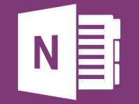 Microsoft OneNote 2013 - Medialess Retail Box - Commercial Use Edition