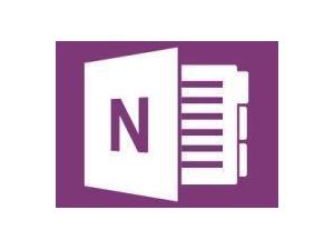Microsoft OneNote 2013 - Medialess Retail Box - Home Use Edition