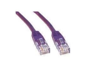 Violet Cat6 Network Cable - 2m