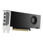 PNY NVIDIA RTX 2000 ADA 16GB GDDR6 ECC Pro Graphics Card - OEM