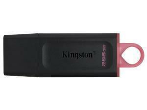Kingston DataTraveler Exodia 256GB USB 3.2 Gen 1 Flash Drive                                                                                                         
