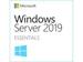 Microsoft Windows Server 2019 Essentials(Maximum 64Gb RAM, 25 user limit) small image