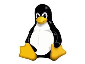 Open Source Linux Installed and Setup as per Customer Instructions small image