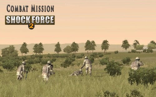 Combat mission