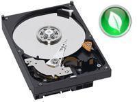 Western Digital Caviar Green Power 1TB 64MB Cache Hard Disk Drive SATAII 300MB/s Andlt;8.9ms - OEM